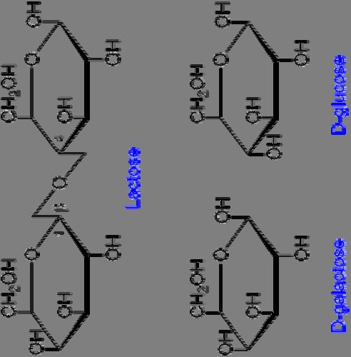 The Lactose (lac) Operon Proteins: laci (lac repressor): binds at operator when