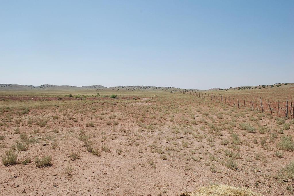 Typical rangeland with view looking north across the