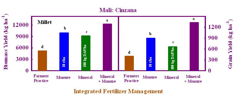 Finding No. 3: Combination of Organic and Inorganic Fertilizer Improved Biomass and Grain Yield of Millet by > 250%.