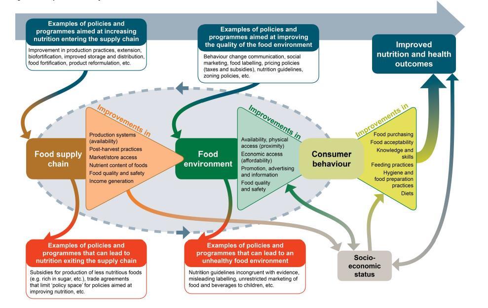 NUTRITION AND FOOD SYSTEMS 5 Source: HLPE