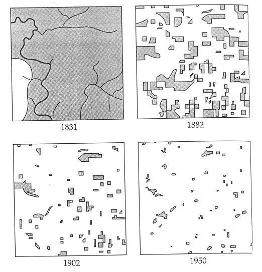 Habitat Fragmentation: Breaking up of habitat into smaller pieces More Specifically: Reduction in habitat area Cadiz