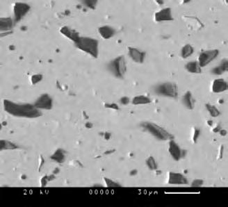 The silicon carbide particles protrude from the electroless nickel matrix.