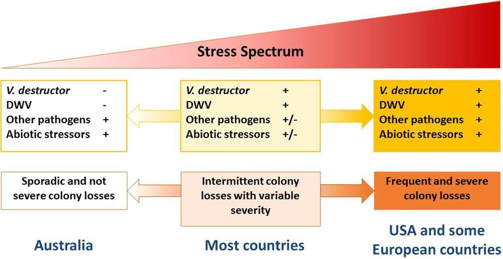 Viruses and Varroa destructor