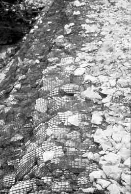 The best solution was a geogrid-reinforced slope.