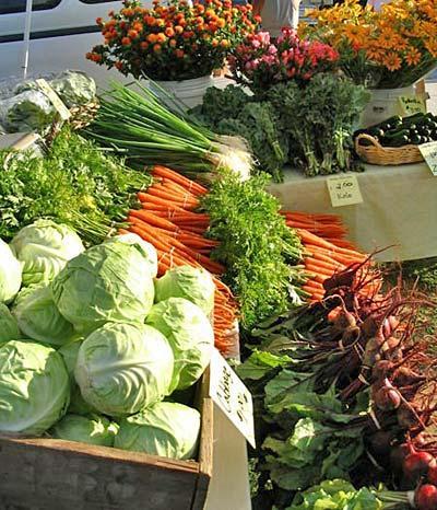 200 years ago, Kingston became the home of Ontario s first farmers market. In recent years there has been a steady increase of farmers markets in Canada.