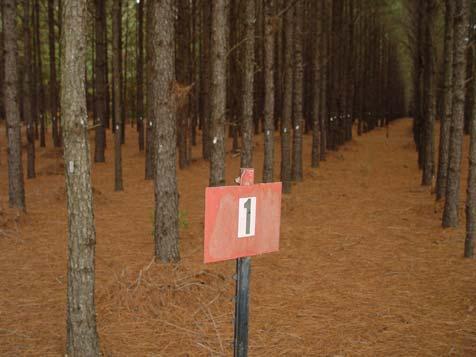 Publication Number 001R-05 November 2005 Fertilization of Unthinned Loblolly Pine on an Intensively Prepared Cut-over Site in Twiggs County, Georgia: Four Year Results E. David Dickens, Bryan C.