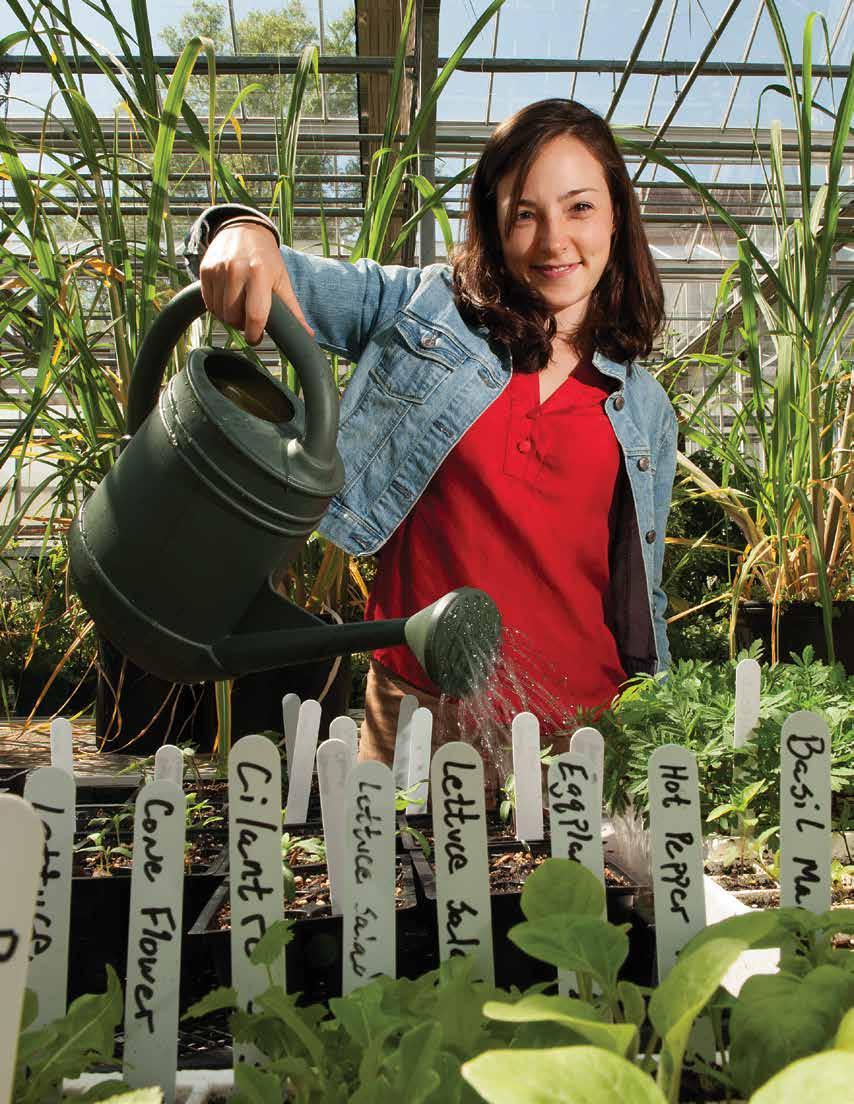 Growing the Future NC State s Department of Crop Science has a rich and successful history of outstanding innovation and discovery, rigorous academic programs leading students to successful careers