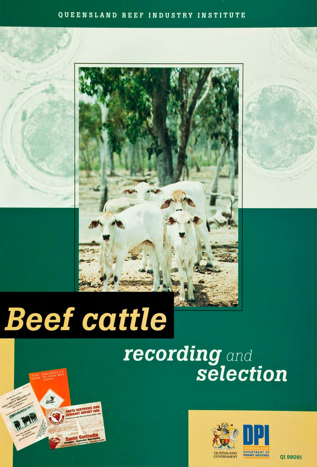 QUEENSLAND BEEF INDUSTRY INSTITUTE Beef cattle recording and selection