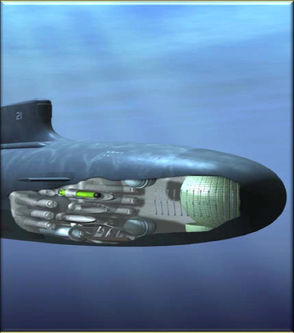 Tomahawk All-Up-Round (AUR) ISEA/DA/AEA for Tomahawk Capsules and Peculiar Support Equipment ISEA for Submarine Launched Tomahawk