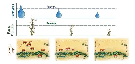 Maintain Your Range Capital - Live Off the Interest How do you know how many cows to graze on a pasture?