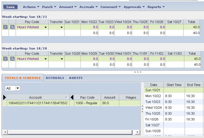 Lesson 2: Timecard Editing Exempt Timecard View (Project view) Exempt employees are assigned shift patterns which typically assigns them to an 8 hour day.