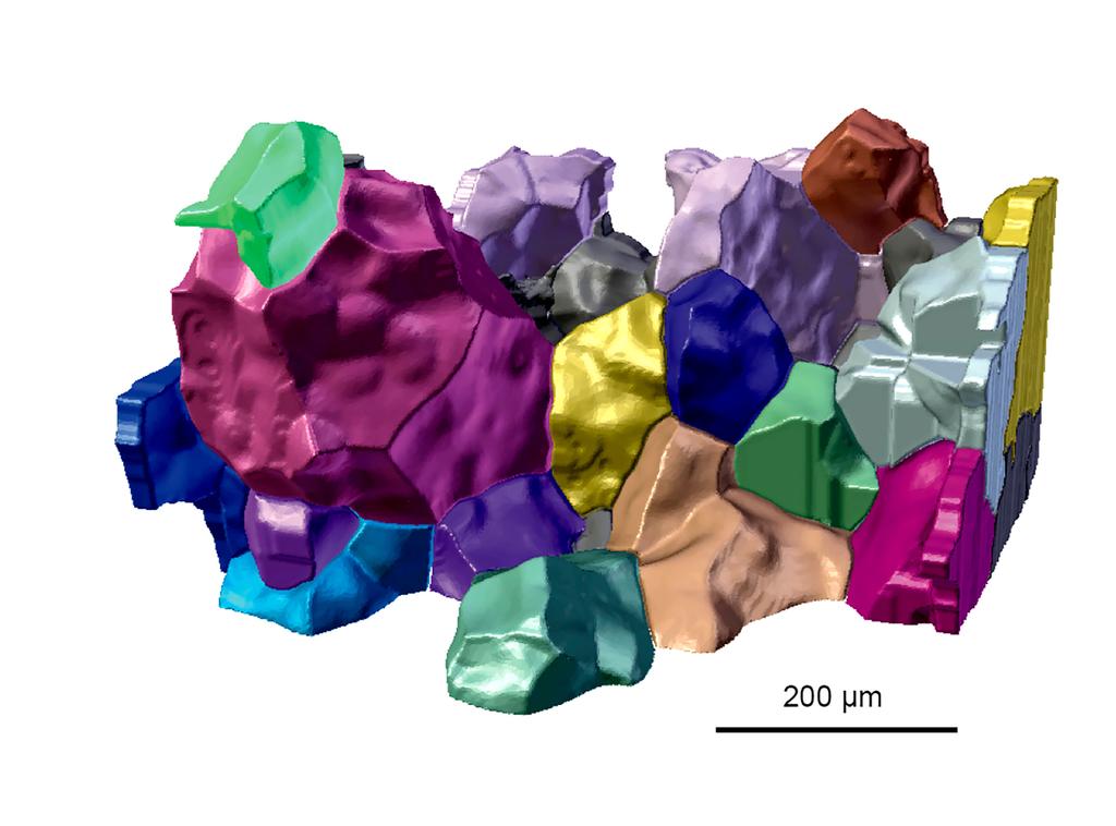 Diffraction Contrast Tomography Unlocking Crystallographic