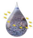 Water Framework Directive (2000/60/EC) List of Priority substances (2455/2001/EC) Anthracene Atrazine Chlorpirifos Di(2-ethylhexyl)phthalate Diuron Endosulfan Isoproturon Lead and its compounds