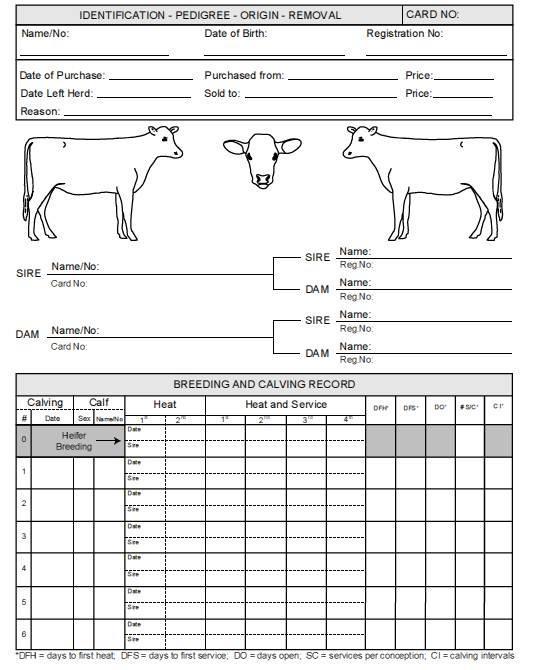 Cattle Ranching Record Keeping Source: Beefmagazine.com 1. Inventory: # cows exposed to bulls, #calves weaned, etc. 2. Animal ID: place of origin, DOB, health, vaccinations, etc. 3.