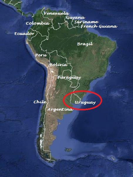 Uruguay: general facts Total extension of 176.000 Km2 Total population 3.440.