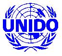 UNITED NATIONS INDUSTRIAL DEVELOPMENT ORGANIZATION ORGANISATION DES NATIONS UNIES POUR LE DEVELOPPEMENT INDUSTRIEL TERMS OF REFERENCE