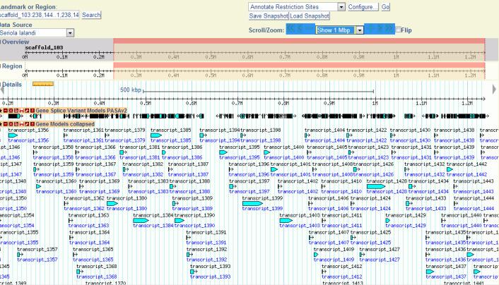 Genomics Whole genomes, transcriptomes 100 s of millions of base pairs Identify genes