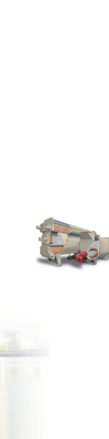 Two-Stage Direct-Fired Absorption Horizon TM direct-fired units provide maximum value for those who already have an on-site fuel resource of natural gas or No. 2 fuel oil.
