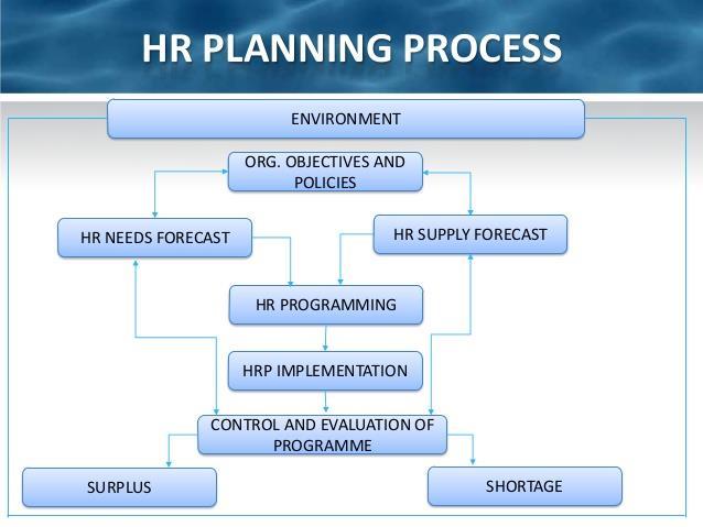 forecasts for evaluating the firm s preparation in pursuing the different business scenarios in the context of business objectives. 3.5. Action Programming It is the final step of HR Planning.