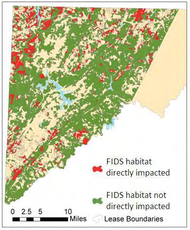 Ecological Resources: Forest Interior Dwelling Species (FIDS) Direct