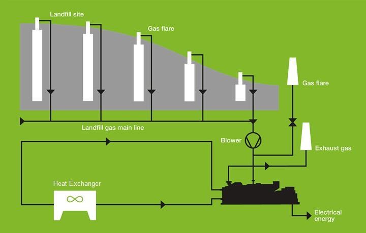 Landfill Gas Organic material within the