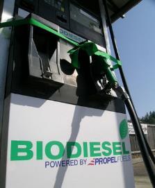 Transesterification Crude Biodiesel Neutralising Acid