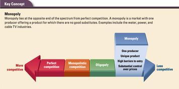 3. What Is a Monopoly, and Why Are Some Monopolies Legal? Most markets are not perfectly competitive.