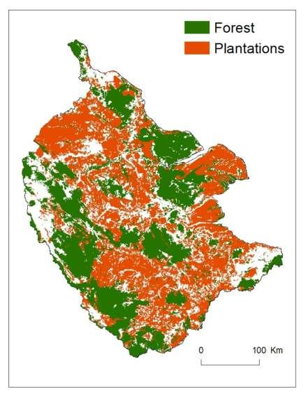 Current land cover and scenarios Sumatra Ecosystem Vision (60% more forest than 2008)