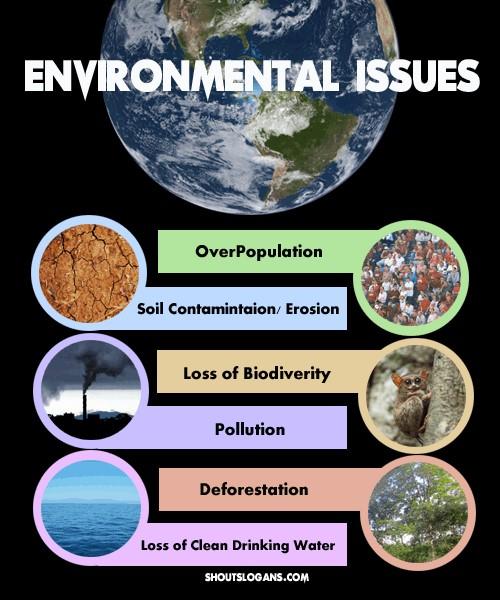 Major Environmental Issues Pollution of Air, Water and Land Hazardous Chemicals and Wastes Land Degradation Loss of Biodiversity Ozone Depletion Climate Change Environmental Factors Loss of natural