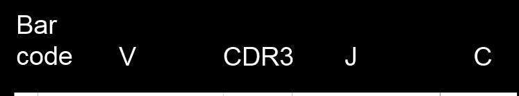 Experiment β chain CDR3 TCR repertoire sequenced from CD4 spleen cells.