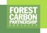 RESULTS-BASED FINANCING Existing financing mechanisms (carbon /climate funds) Visible on the horizon: Green Climate Fund Possible over the horizon: Larger global carbon/climate markets Issues to be