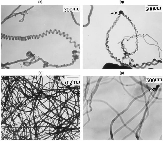 DIFFERENT MECHANISMS FOR SYNTHESIS OF NANOWIRES AND THEIR APPLICATIONS Abstract: The role of one-dimensional nanostructures has gained immense importance in recent times.