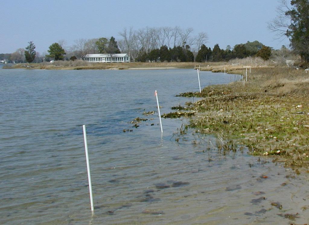 CCRM developed a model that calculates wave climate potential along the shoreline. External databases such as NOAA s bathymetry data are used to describe the depth of the nearshore subaqueous bottom.
