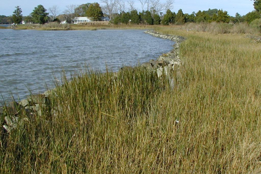 The SMM integrates this information to return a recommended strategy for countering an erosion problem at a given location along the shoreline. See below for an example.