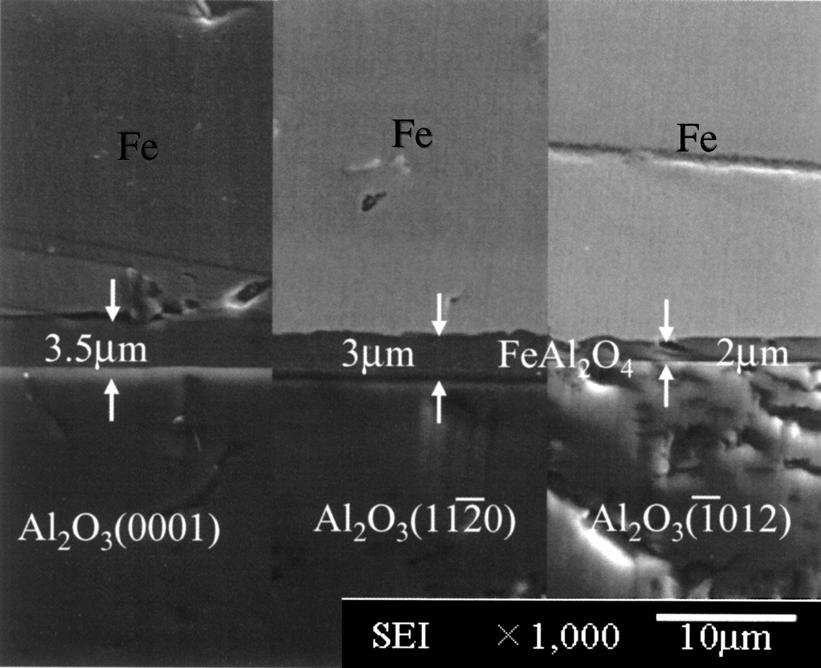 Cross section of sample for P O both Al O 3 and MgAl O 4 under P O 10 15 atm in the inlet When P O argon gas, the contact angle showed almost same phenomena as the 10 15 atm case.