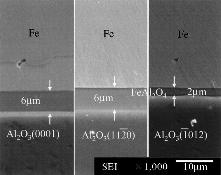 3. Observation of Interface between Solidified Iron and the Oxide Substrate The thickness of the reaction layer varied according to the different oxygen partial pressure and orientation of