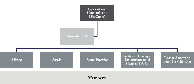 Figure 1: RECPnet from a management point of view The Executive Committee (ExCom) is the de facto management team of the RECPnet (see Figure 1).
