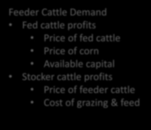 capital Stocker cattle profits