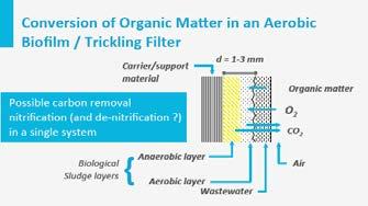 Since the bioconversion rate is much higher, oxygen supply is much more critical in these filters.