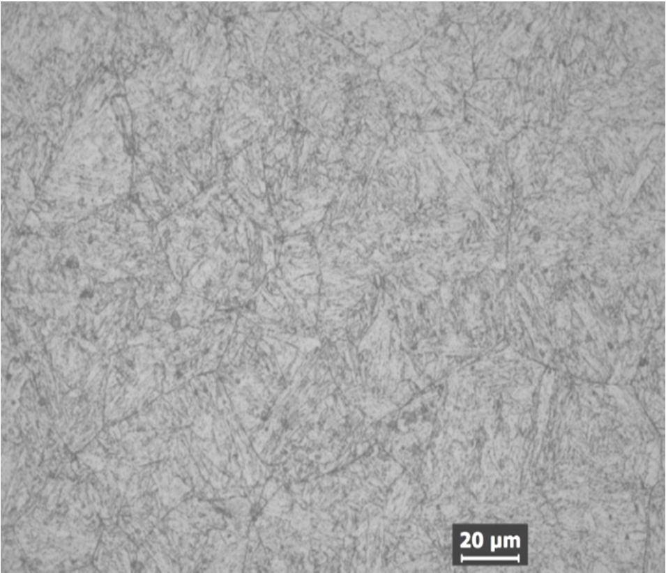 From optical microscope: Micro structural evaluation The etched samples were examined under optical microscope with 1X, 2X, 5X magnification, and microstructures are captured.