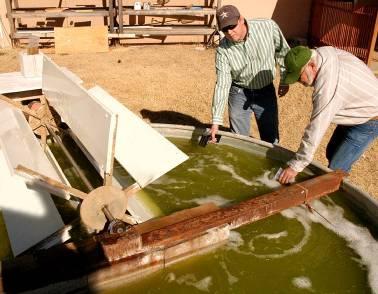 Algae produces over 10 times the yield of