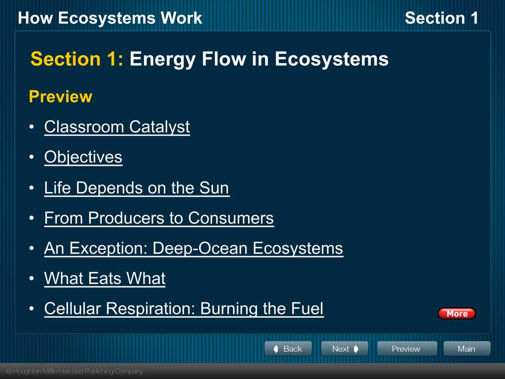 Section 1: Energy Flow in Ecosystems Preview Classroom Catalyst Objectives Life Depends on the Sun From