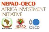 Campaigns / Initiatives Details Overview Focus Areas Key Dates 4 Africa Investment Initiative NEPAD and OECD Made up of 13 scientists and economists. Works with the Earth Science Partnership.