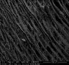0,1M CaCl 2 1M HCl + 0,1M CaCl 2 1M HCl 50 µm SEM picture of carbon aerogels derived from
