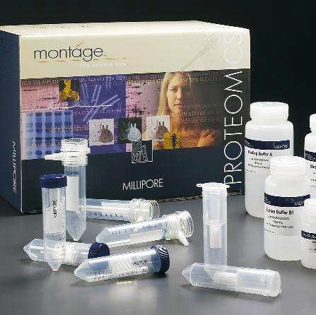 Ordering information Montage Antibody Purification Kits with PROSEP A or PROSEP-G Kit Contents: 2 media plugs in 20% ethanol 2 Montage Spin Columns 4 Centrifuge tubes/caps 1 Insertion tool 4