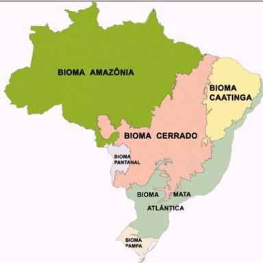 Millions ha (Mha) Demand for restoration according to the Brazilian 9 8 7 6 5 4 3 2 1 0 8 Forest code 6 Amazônia Mata Atlântica Cerrado