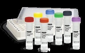 Cell Lysis RT-qPCR Kits provide a complete and fast solution for generation of lysates from cell cultures Lysates are optimized for downstream one- or two-step qpcr reactions and do not require an