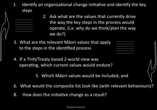 Methodology Process Notes Governance Management Operations Individual/ Team CHANGE ACTION Organisational Change/ Culture Change Applied to whole organisation development activity on structure and