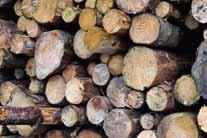 The database generates key information about biomass fuels and indicates