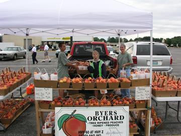 Marketing the Crop Direct market potential Farmers market On